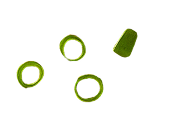 Circles Image 1